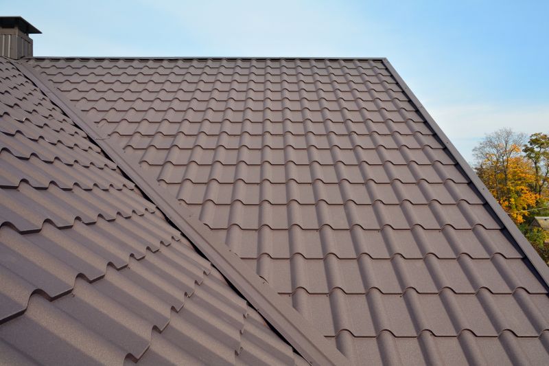 Modern Metal Roofing Design
